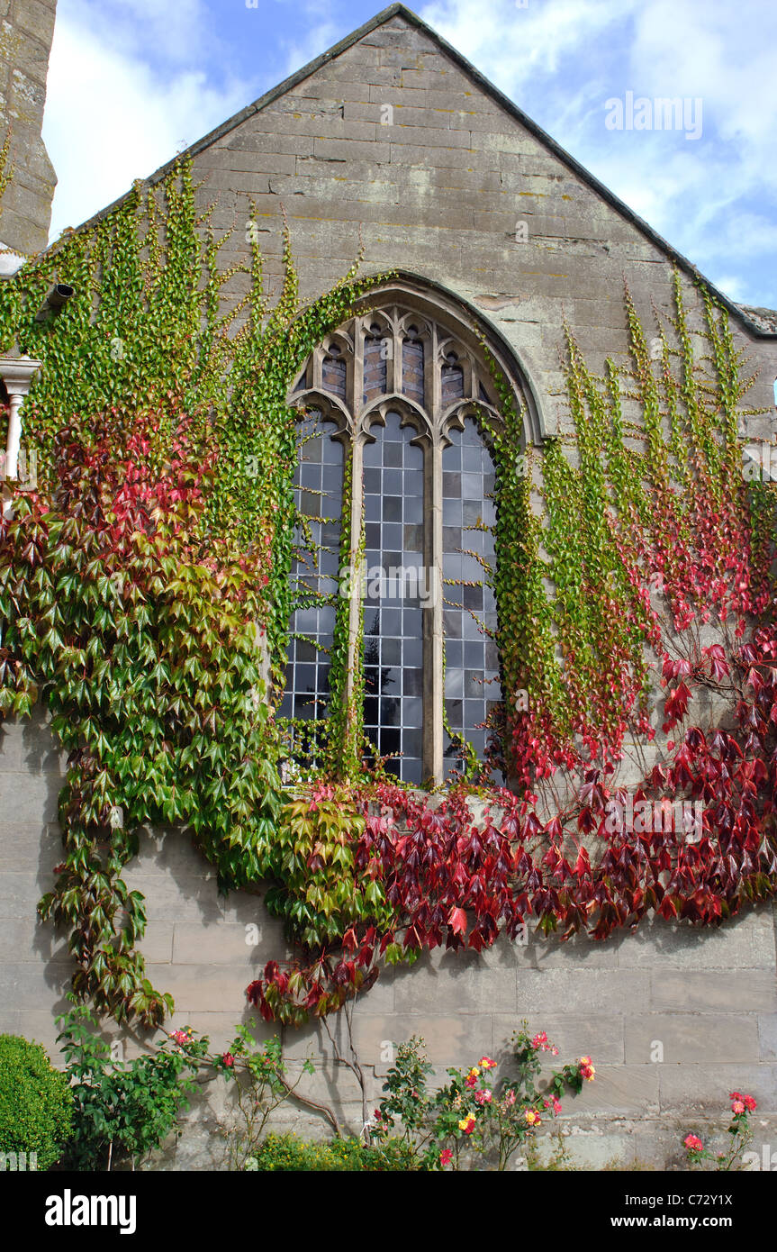 Virginia Creeper growing on St. Peter`s Church, Barford, Warwickshire, England, UK Stock Photo